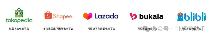 TikTok印尼站点深度挖掘市场分析