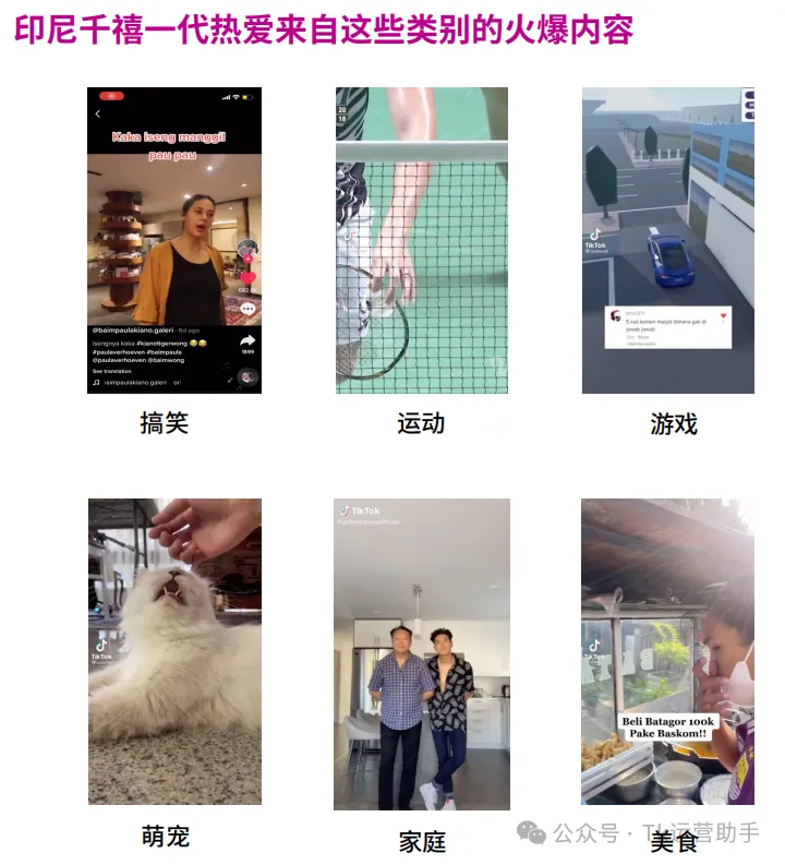 TikTok印尼站点深度挖掘市场分析