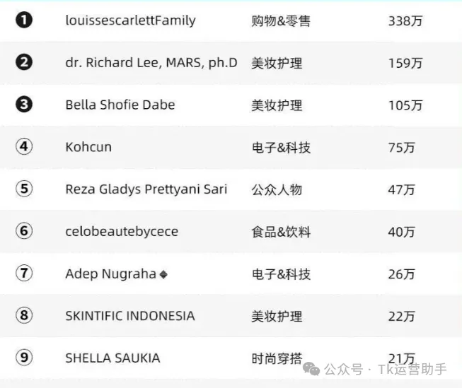 TikTok印尼站点深度挖掘市场分析